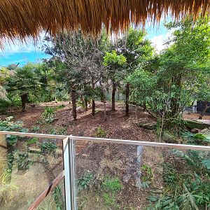 One of the Two Sumatran Tiger exhibits at Adelaide Zoo