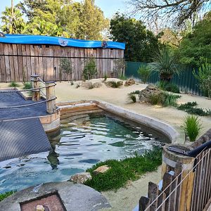 New Penguin exhibit at the entrance