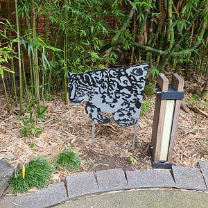 Snow leopard art in the 'Bamboo Forest'