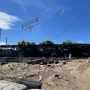 View of prairie dog and lynx enclosure (2)