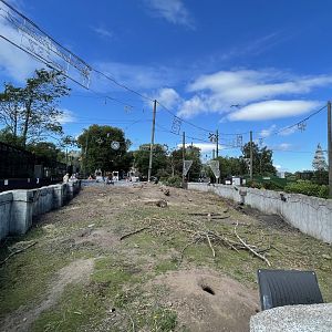 Prairie dog enclosure