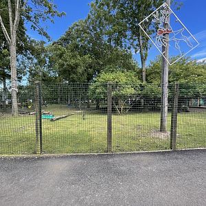 Wallaby walkthrough (2)