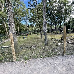 Wallaby walkthrough (3)