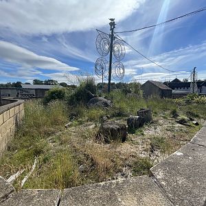 Dwarf mongoose enclosure