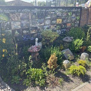 Memorial to animals killed in reptile house fire