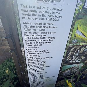 Species killed in the fire