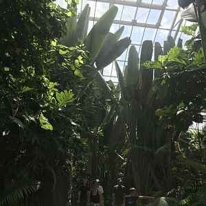 View of tropical house (2019)
