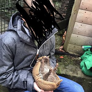 Me with a 3 banded armadillo (2019)