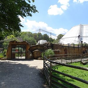 Enclosure for Humboldt penguins and inca terns (07/22)