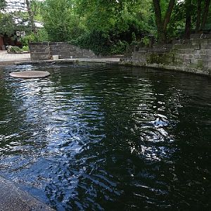 Enclosure for Californian sea lions (07/22)