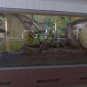 Indoor jaguarundi enclosure (07/22)