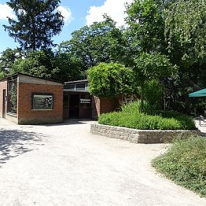 Jaguarundi / guereza house (07/22_