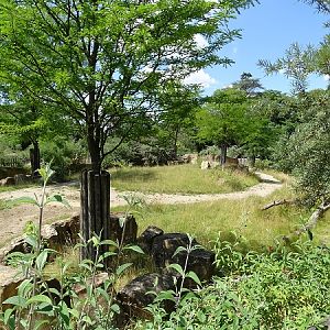 Black rhino enclosure (07/22)