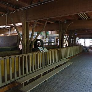 Indoor enclosure for black rhino (07/22)