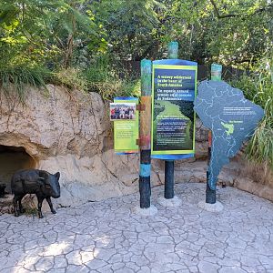 Pantanal - Exhibitry (theming) and signage