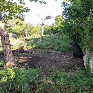 Pantanal - far end of mixed species exhibit