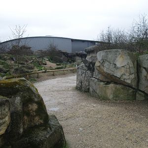 Playa Penguinos with Humboldt penguins and Steamer ducks - Walk-through beach, dunes and rocks section, 2008-03-01