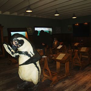 "Penguin school" education area, 2008-03-01
