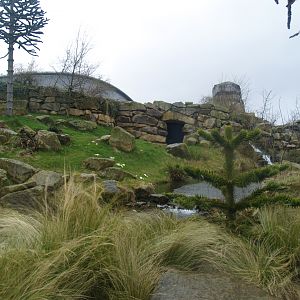 Southern pudu and Crested screamer exhibit, 2008-03-01
