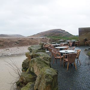 Guanaco paddock and eating area, 2008-03-01