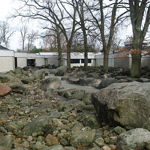 Rock garden and access to the butterfly garden and the Biochron, 2008-03-01