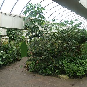 View in the Butterfly garden, 2008-03-01