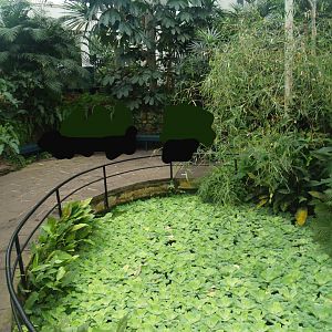 View in the butterfly garden, 2008-03-01
