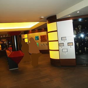 View in the exhibition section of the Biochron, 2008-03-01