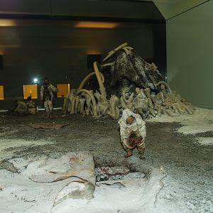 Biochron - Prehistoric humans diorama, 2008-03-01