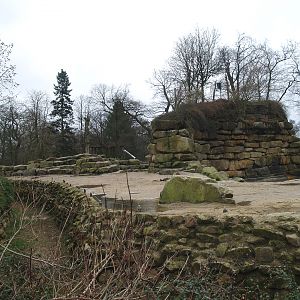 Asian elephant exhibit, 2008-03-01