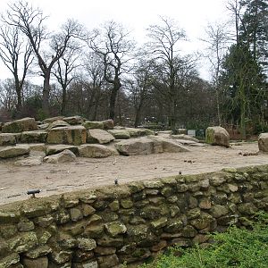 Asian elephant exhibit, 2008-03-01