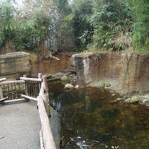 Asian small-clawed otter exhibit, 2008-03-01
