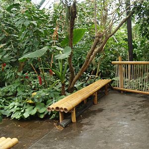 View in the Oasia greenhouse, 2008-03-01