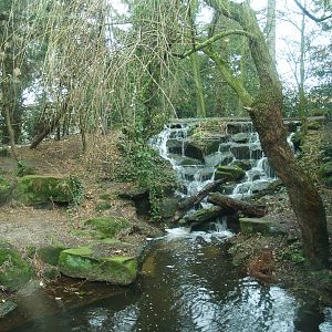 Amur tiger exhibit waterfall and pool, 2008-03-01