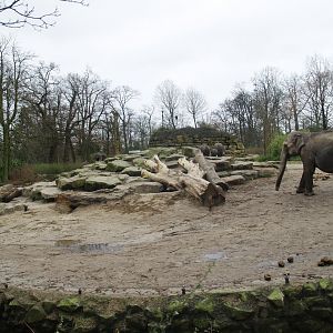 Asian elephant exhibit, 2008-03-01