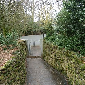 Corridor for Asian elephants between outdoor exhibit and underground stables, 2008-03-01