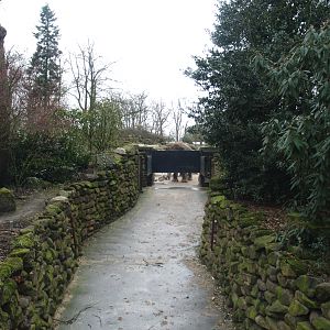 Corridor for Asian elephants between outdoor exhibit and underground stables, 2008-03-01