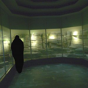 Asia House - Terrariums, 2008-03-01