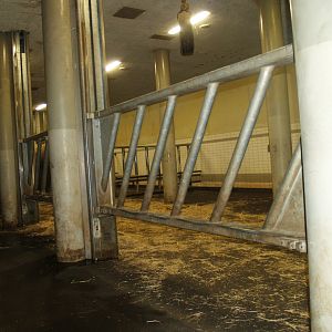 Part of underground Asian elephant stables, 2008-03-01