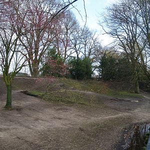 Red kangaroo and Emu exhibit, 2008-03-01