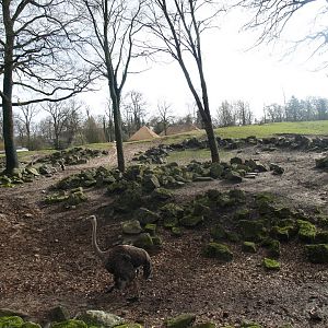 Savanna exhibit, 2008-03-01