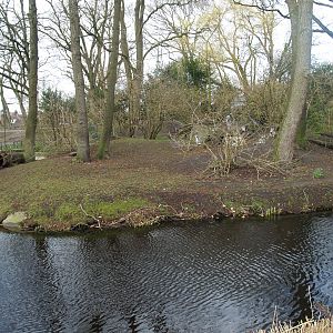 Ring-tailed lemur island, 2008-03-01