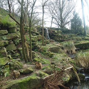 Serval exhibit, 2008-03-01