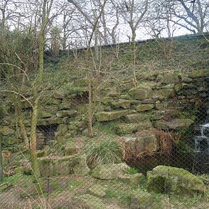 Serval exhibit, 2008-03-01