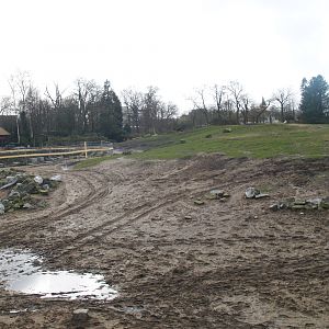 Savanna exhibit, 2008-03-01