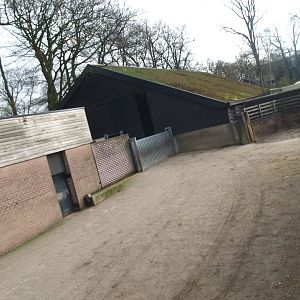 Savanna exhibit stable buildings and side/separation yard, 2008-03-01