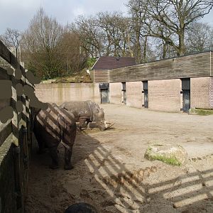 Savanna exhibit - Rhinoceros stable and side/separation yard, 2008-03-01