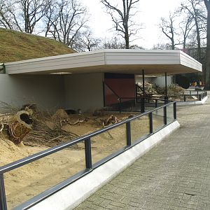Indian crested porcupine exhibits, 2008-03-01