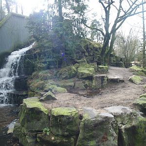 Kodiak bear exhibit, 2008-03-01