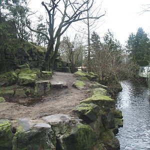 Kodiak bear exhibit, 2008-03-01